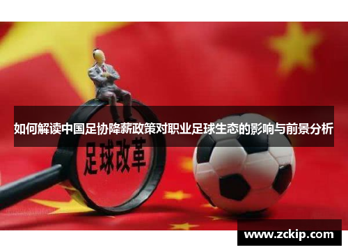 如何解读中国足协降薪政策对职业足球生态的影响与前景分析 如何解读中国足协降薪政策对职业足球生态的影响与前景分析