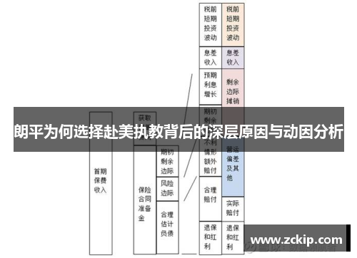 朗平为何选择赴美执教背后的深层原因与动因分析